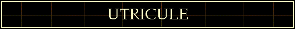 UTRICULE